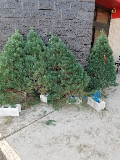 Sporting Goods Store «Big R Store Crawfordsville», reviews and photos, 1601 US-231, Crawfordsville, IN 47933, USA