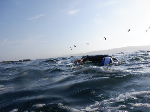 Sporting Goods Store «La Jolla Swim and Sport», reviews and photos, 1008 Torrey Pines Rd, La Jolla, CA 92037, USA