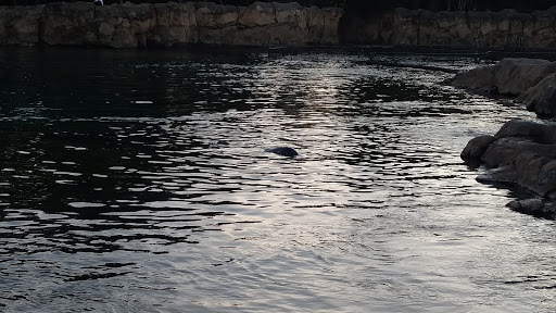 Water Park «Discovery Cove», reviews and photos, 6000 Discovery Cove Way, Orlando, FL 32821, USA