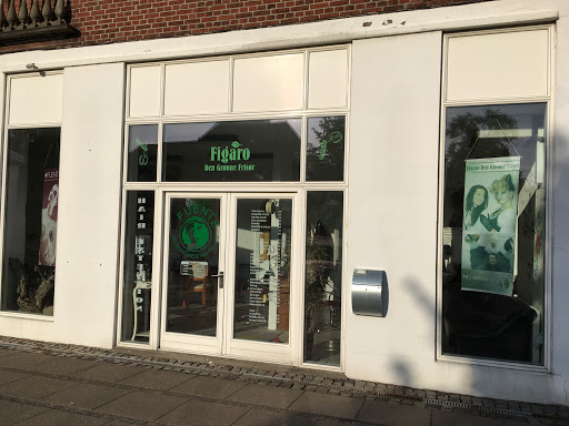 Figaro Den Grønne Frisør v/Nora Piroska Szél in Vejle, Vejle