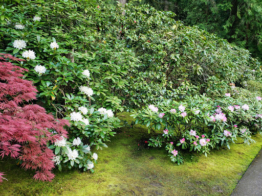 Gift Shop «Portland Japanese Garden Gift Shop», reviews and photos, 611 SW Kingston Ave, Portland, OR 97205, USA
