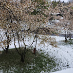 Photo n°2 de l'avis de Kati.e fait le 21/04/2024 à 17:41 sur le  Werrapark Resort Hotel Heubacher Höhe à Masserberg