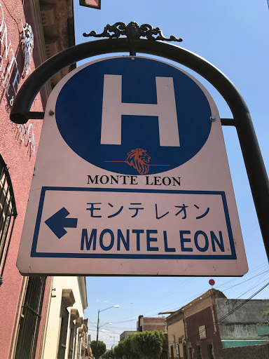 Hotel Monte Leon