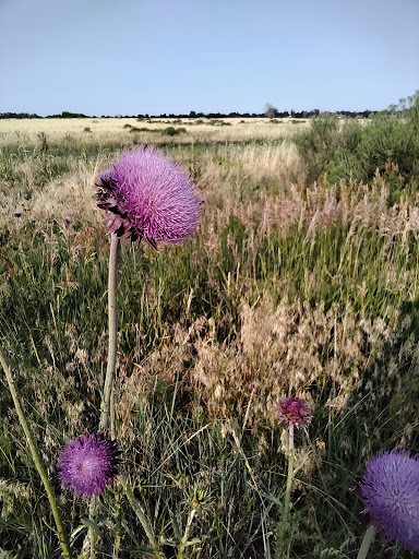 State Park «Cherry Creek State Park», reviews and photos, 4201 S Parker Rd, Aurora, CO 80014, USA