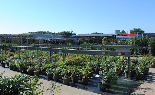 Stores to buy outdoor plants Dallas