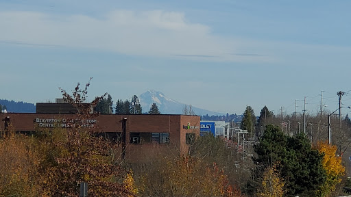 Nature Preserve «Beaverton Creek Wetlands Natural Area», reviews and photos, SW 153rd Dr, Beaverton, OR 97006, USA
