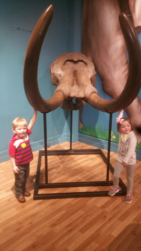 Museum «Museum», reviews and photos, 2142 Southern Dr, Statesboro, GA 30458, USA