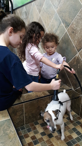 Pet Supply Store «Pet Valu», reviews and photos, 34282 Center Ridge Rd, North Ridgeville, OH 44039, USA