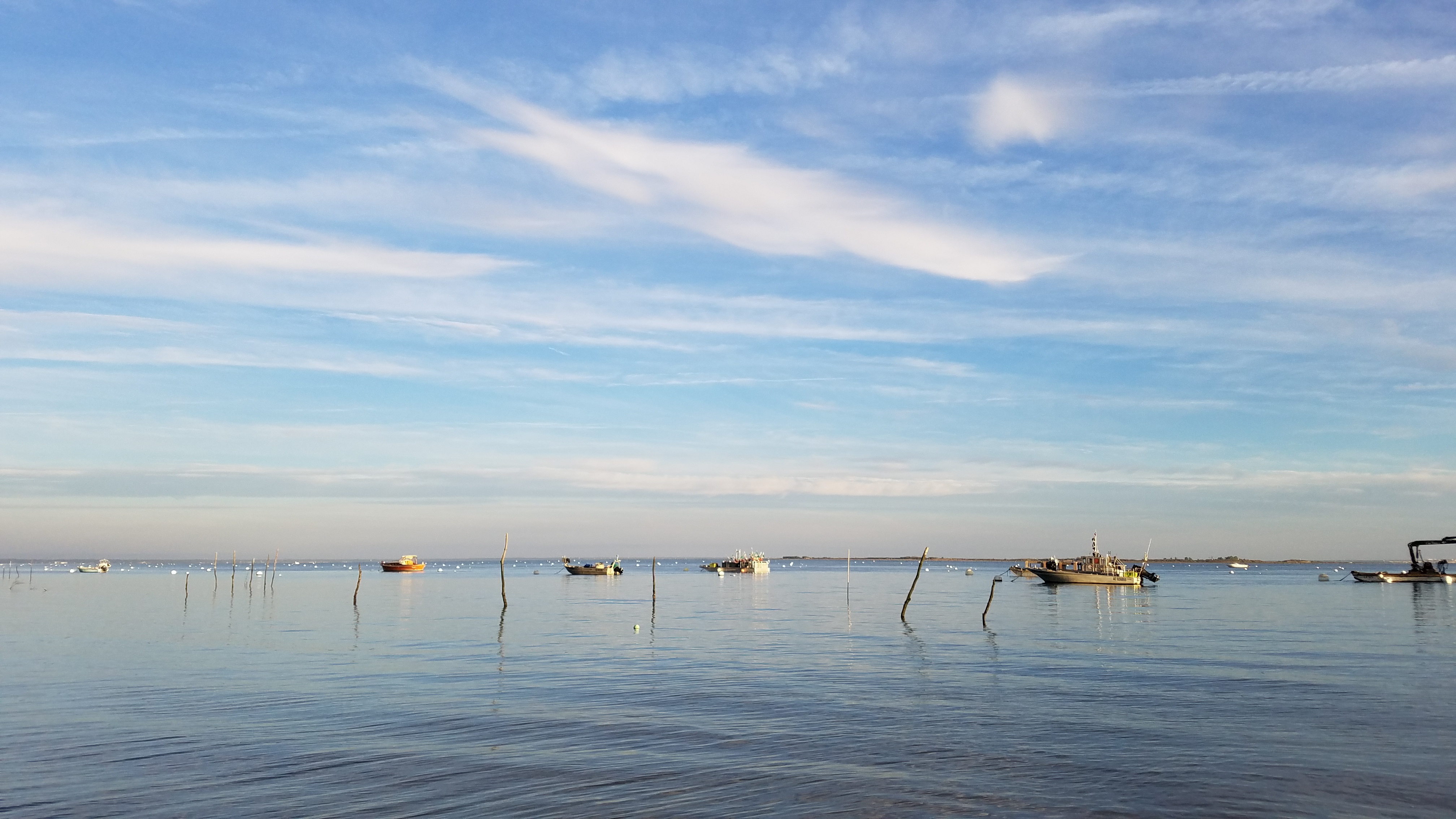 Photo n° 1 de l'avis de Daniel.N fait le 02/07/2019 à 07:36
