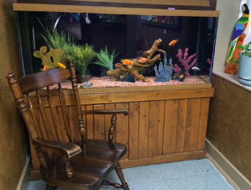 Preschool «Honey Bee Day Care Center», reviews and photos, 615 W Marshall Dr, Grand Prairie, TX 75051, USA