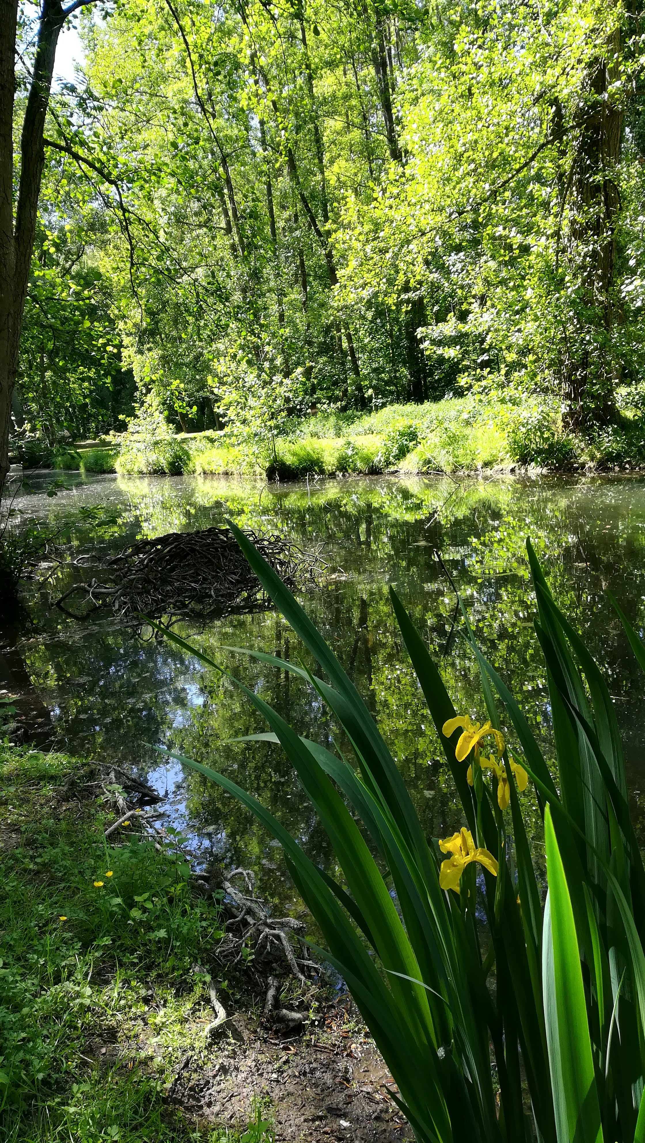 Photo n° 1 de l'avis de laura. fait le 14/05/2018 à 09:25