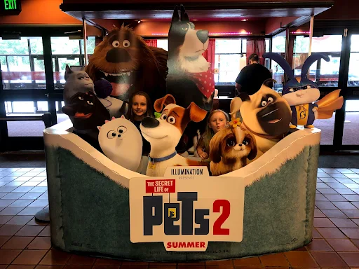 Movie Theater «AMC Classic Granite Run Mall 8», reviews and photos