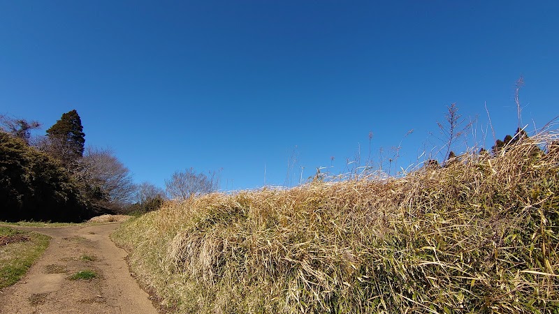 飯櫃城跡