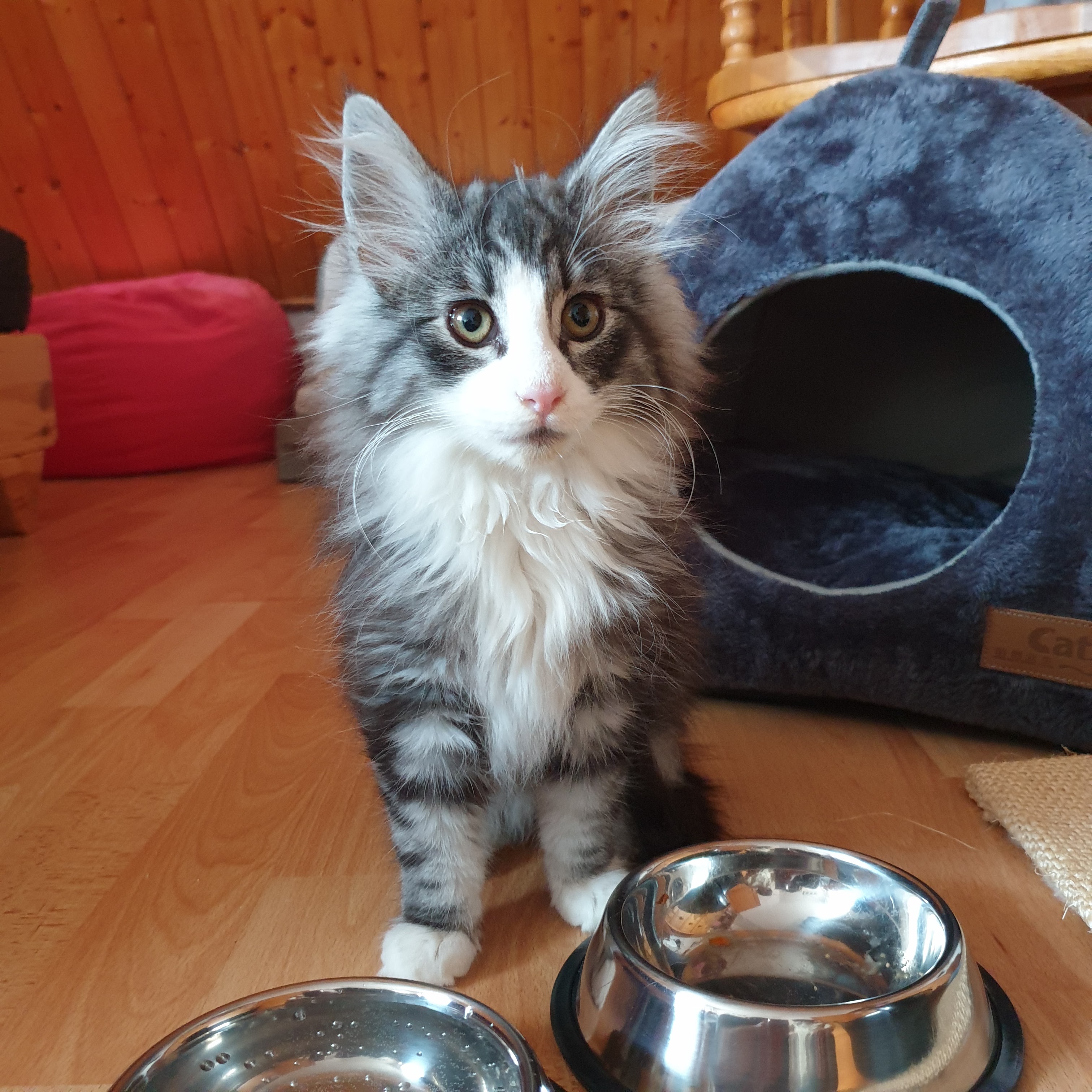 Photo n° 1 de l'avis de Séverine.a fait le 14/05/2023 à 15:45