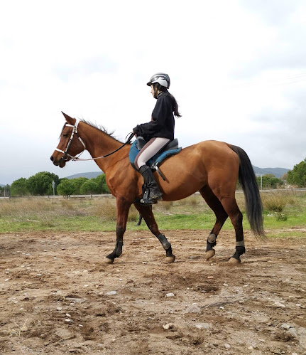 Marathon Endurance Club