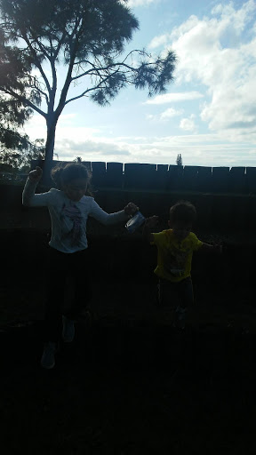 Park «Royal Palm Park», reviews and photos, 1701 NW 38th St, Oakland Park, FL 33309, USA