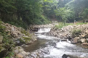 김천 물소리생태숲 image