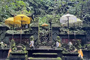 Sebatu holy water spring image