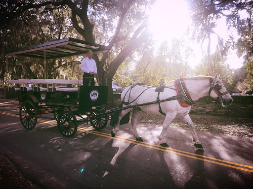 Carriage Ride Service «Sea Island Carriage Company», reviews and photos, 930 Bay St, Beaufort, SC 29902, USA