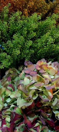 Florist «BLOOMING DESIGNS BY MICHELLE», reviews and photos, 6634 Upper 28th St N, Oakdale, MN 55128, USA