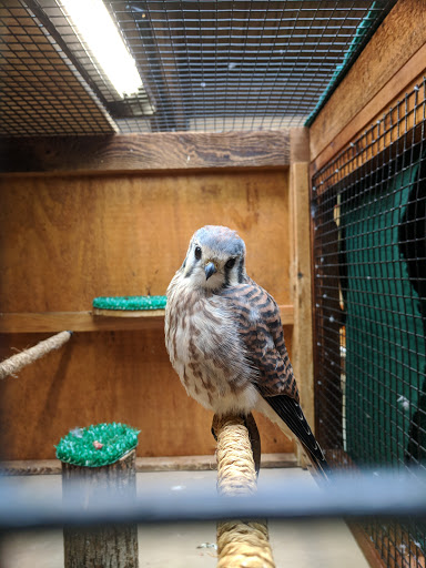 Nature Preserve «River Trail Nature Center», reviews and photos, 3120 Milwaukee Ave, Northbrook, IL 60062, USA