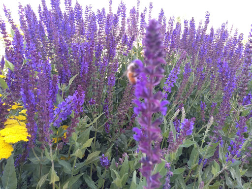 Recreation Center «Historic Arkansas Riverwalk», reviews and photos, 101 S Union Ave, Pueblo, CO 81003, USA