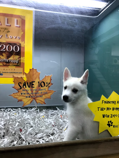 Pet Store «Pet-Go-Round», reviews and photos, 4554 VA-225, Virginia Beach, VA 23462, USA