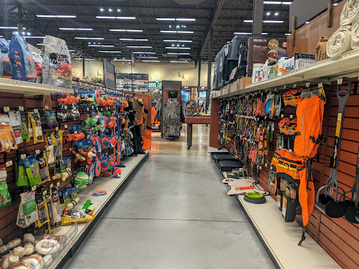 Sporting Goods Store «Bass Pro Shops», reviews and photos, 200 Bass Pro Dr, Round Rock, TX 78665, USA