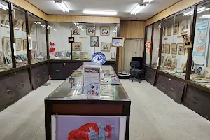 Koriyama Goldfish Museum image