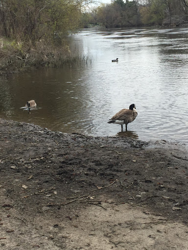 Park «Akin Riverside Park», reviews and photos, 1721 River Ave, Anoka, MN 55303, USA