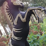 Photo n° 2 de l'avis de TiFlo. fait le 01/11/2022 à 06:50 pour Nigloland à Dolancourt