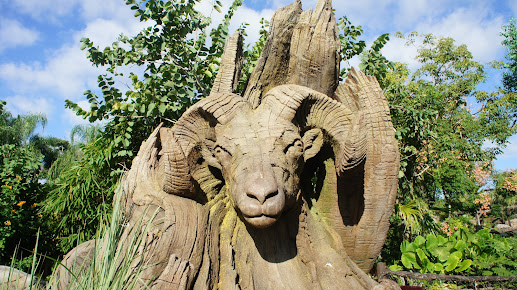 Disney's Animal Kingdom Theme Park