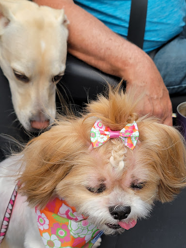 Pet Supply Store «PetSmart», reviews and photos, 1331 Nixon Dr, Moorestown, NJ 08057, USA