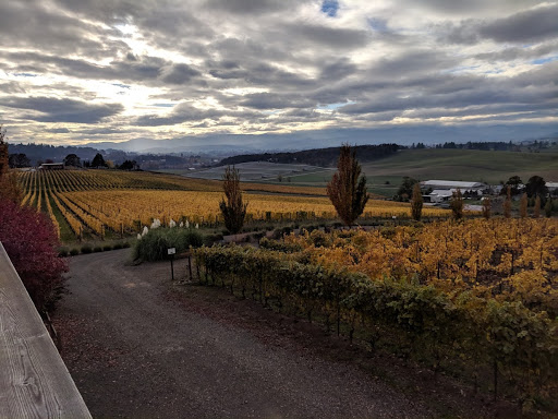 Winery «Lenne», reviews and photos, 18760 NE Laughlin Rd, Yamhill, OR 97148, USA