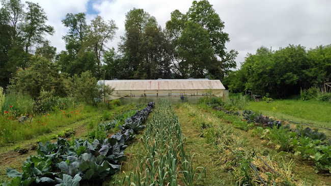 Comentarios y opiniones de Escuela y Parque Agroecológico De Lumaco