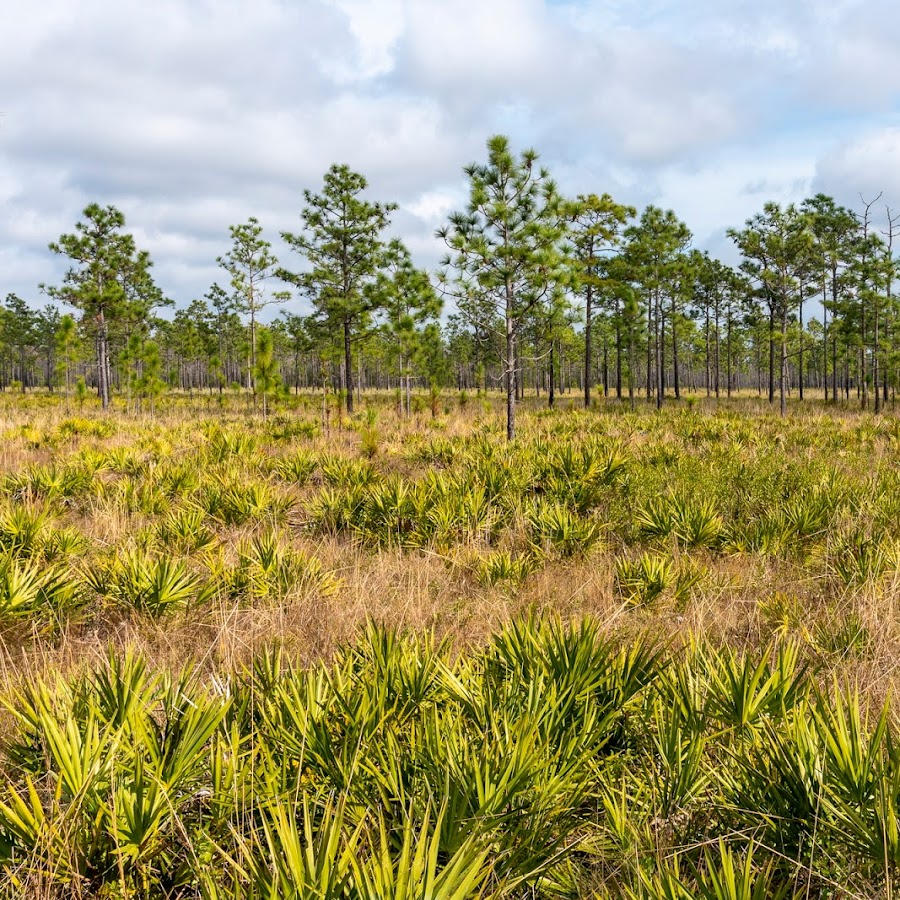 Hal Scott Regional Preserve And Park