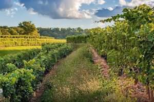 Kacaba Vineyards and Winery image