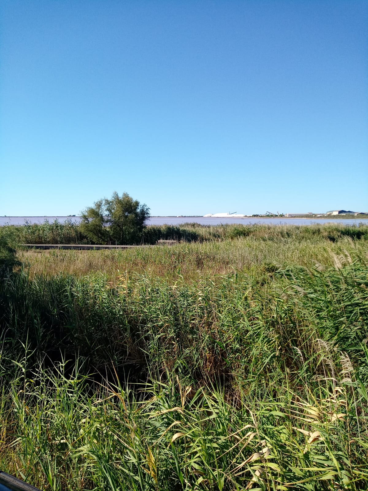 Photo n° 21 de l'avis de Véronique. fait le 21/08/2022 à 17:43