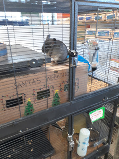 Pet Supply Store «House of Pets Inc», reviews and photos, 29500 Ford Rd, Garden City, MI 48135, USA