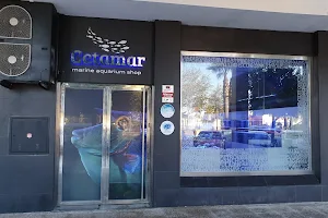 Cetamar aquarium shop image