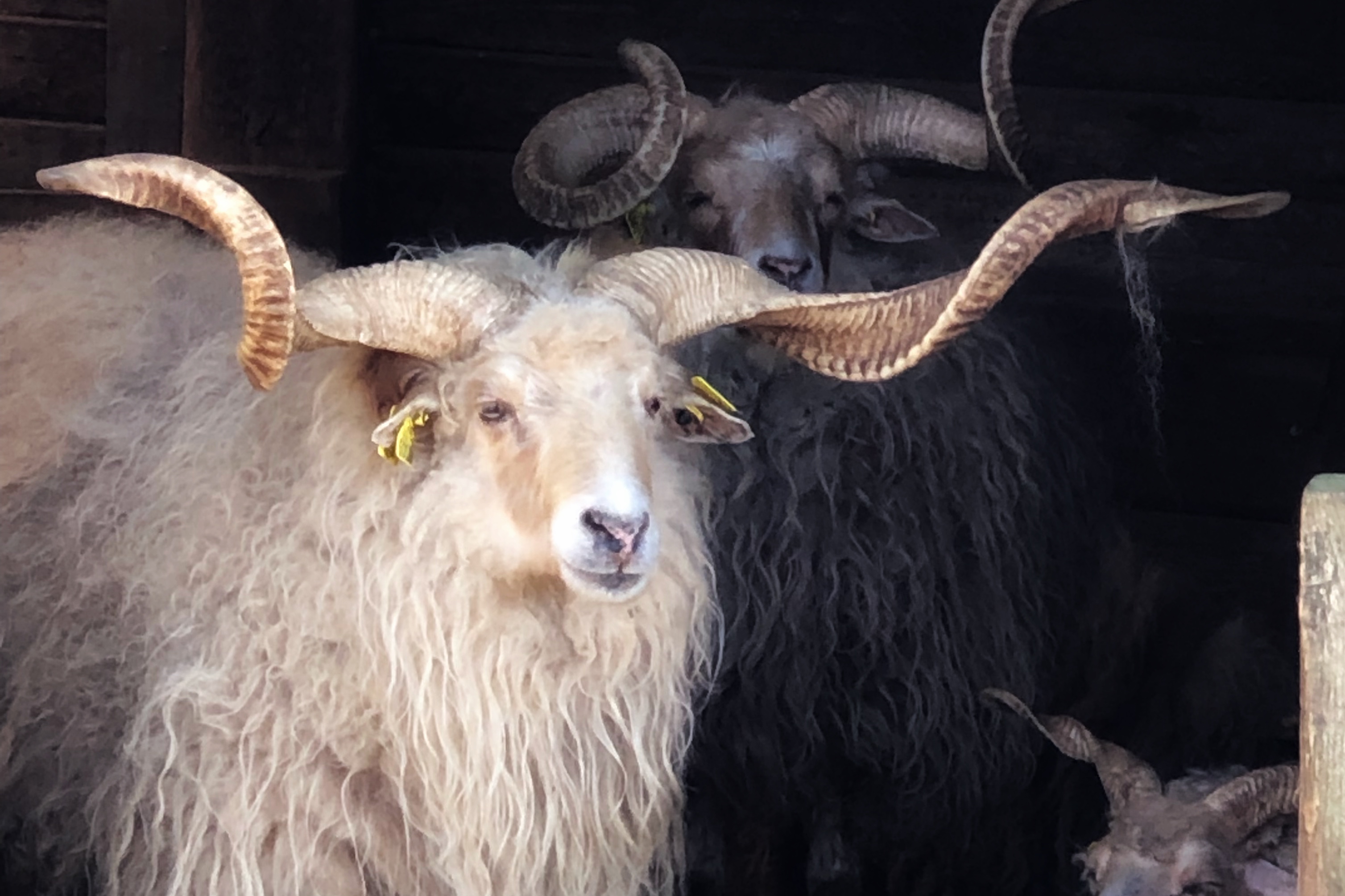 Photo n° 2 de l'avis de Yann.o fait le 07/05/2019 à 16:41
