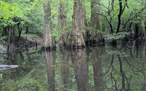 Big Thicket National Preserve image