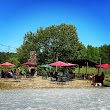 Cartecay Vineyards