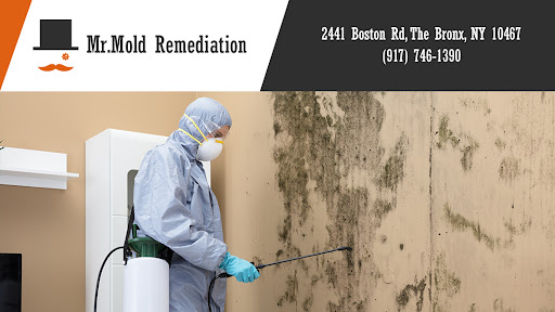 (c) Mrmold-remediation.business.site