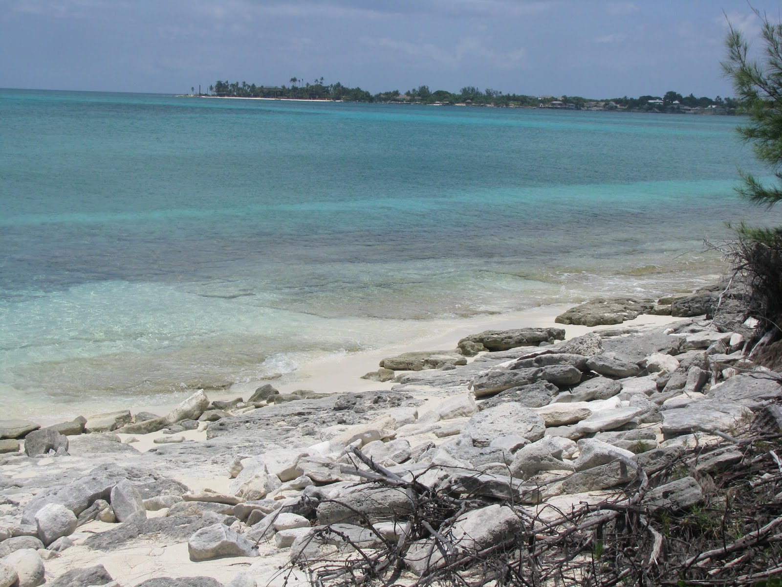 Foto de Flipper beach com areia clara e rochas superfície