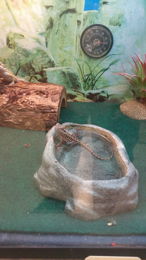 Pet Supply Store «PetSmart», reviews and photos, 1013 W University Ave, Georgetown, TX 78628, USA