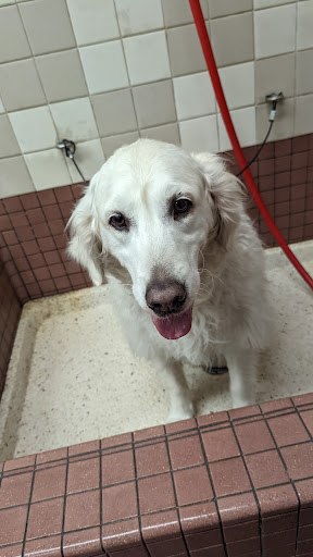 Pet Supply Store «Pet Food Express», reviews and photos, 2531 Fair Oaks Blvd, Sacramento, CA 95825, USA