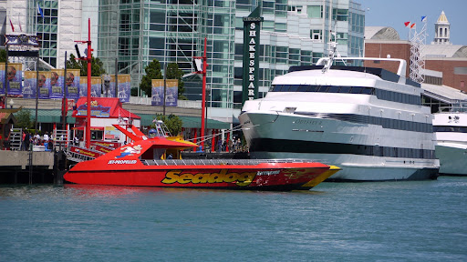 Imax Theater «AMC Navy Pier IMAX», reviews and photos, 700 E Grand Ave, Chicago, IL 60611, USA