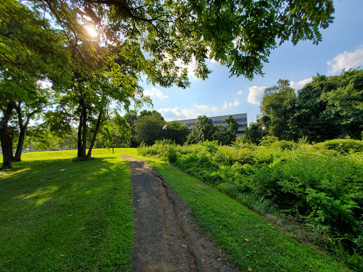 Kosciuszko Park