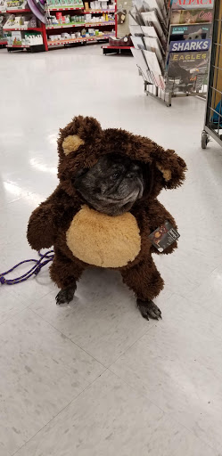 Pet Supply Store «Petco Animal Supplies», reviews and photos, 4012 W 27th Ave, Kennewick, WA 99337, USA